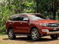 Sell Purple 2017 Ford Everest in Las Piñas-1