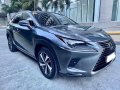 Sell Grey Lexus Nx in Bonifacio-5