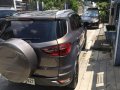 Sell Silver 2015 Ford Ecosport in Marikina-4
