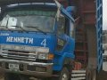 Blue Mitsubishi Fuso for sale in Silang-2