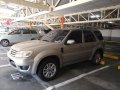 Pearl White Ford Escape for sale in Manila-6