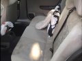 Black Opel Astra 2000 for sale in Bulacan-4