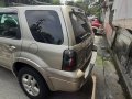 Sell Silver 2007 Ford Escape in Quezon City-7