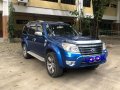 Sell Blue 2010 Ford Everest in Davao-6
