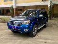 Sell Blue 2010 Ford Everest in Davao-8