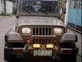 Sell Beige 1995 Jeep Wrangler in Manila-4