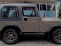 Sell Beige 1995 Jeep Wrangler in Manila-7