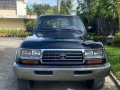 Blue Toyota Land Cruiser 1998 for sale in Bacolod-8