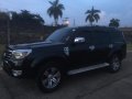 Ford Everest Limited Edition Auto 2010-5