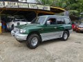 Green Mitsubishi Pajero 2003 for sale in Cebu-2