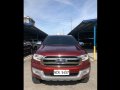 Sell Red 2017 Ford Everest in Manila-9
