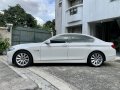 Luxury 2012 BMW 520d (F10)-5