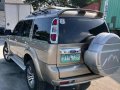 Golden Ford Everest 2012 for sale in Bacoor-3