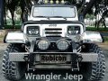 Wrangler Jeep STAINLESS Version Isuzu C240 Diesel 5 Speed MT w/ Aircon (HEADTURNER/PORMADO/RARE) Car-2