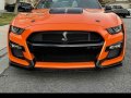 Brand new 2021 Ford Mustang GT500 Shelby-0