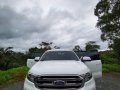 Pearl White Ford Everest 2017 for sale in Rizal-2