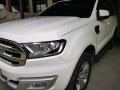 Pearl White Ford Everest 2017 for sale in Rizal-3