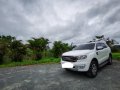 Pearl White Ford Everest 2017 for sale in Rizal-6