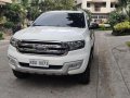 White Ford Everest 2016 for sale in Binangonan-5