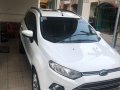 Selling Ford Ecosport 2015-9