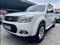 Selling Pearl White Ford Everest 2013 in Las Piñas-1