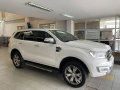 2018 Ford Everest 2.2L Titanium (Premium Package) 4X2 AT Diesel-4