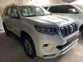 Selling Toyota Land Cruiser Prado 2021 -9