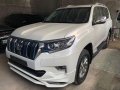 Selling Toyota Land Cruiser Prado 2021 -8