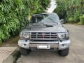 Sell 1999 Mitsubishi Pajero-2