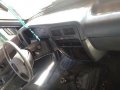 Selling Blue Nissan Terrano 1996 in Taguig-2
