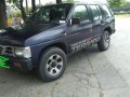 Selling Blue Nissan Terrano 1996 in Taguig-3
