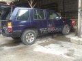 Selling Blue Nissan Terrano 1996 in Taguig-5
