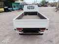 ISUZU DROPSIDE 10 FT. SINLGE TIRE-2