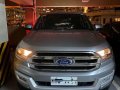 Brightsilver Ford Everest 2018 for sale in Manila-2