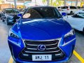 2015 Lexus NX300H-8