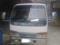 Pearl White Isuzu Elf 2010 for sale in Rizal-5