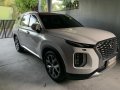 2019 Hyundai Palisade-1