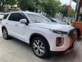 2019 Hyundai Palisade-11