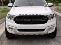 Sell Pearl White 2018 Ford Everest in Imus-0