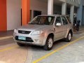 Sell Silver 2013 Ford Escape in Pasay-8