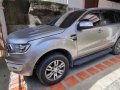 Sell Silver 2018 Ford Everest in Guiguinto-9