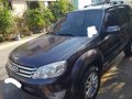 Selling Grey Ford Escape 2009 in Parañaque-3