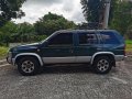 Blue Nissan Terrano 1997 for sale in Taguig-8