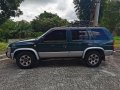 Blue Nissan Terrano 1997 for sale in Taguig-1