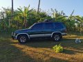 Blue Nissan Terrano 1997 for sale in Taguig-5