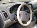 Beige Kia Carnival 2009 for sale in Subic-3