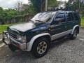 Blue Nissan Terrano 1997 for sale in Taguig-2