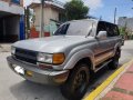 Selling Brightsilver Toyota Land Cruiser 1993 in Quezon-0
