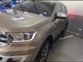 Beige Ford Everest 2020 for sale in Mabalacat-6