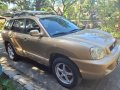 Beige Hyundai Santa Fe 2004 for sale in Valenzuela-3